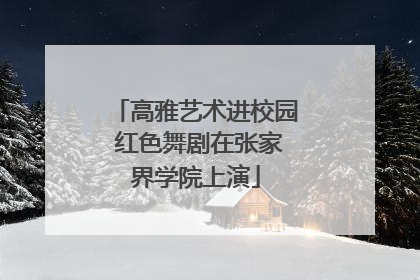 高雅艺术进校园 红色舞剧在张家界学院上演
