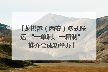 龙拱港（西安）多式联运 “一单制、一箱制” 推介会成功举办