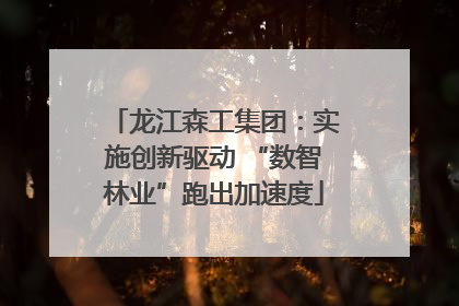 龙江森工集团：实施创新驱动 “数智林业”跑出加速度