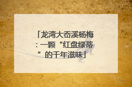 龙湾大岙溪杨梅：一颗“红盘绿蒂”的千年滋味