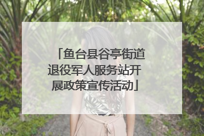 鱼台县谷亭街道退役军人服务站开展政策宣传活动