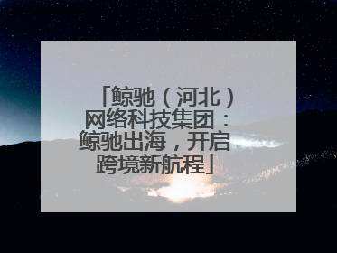 鲸驰（河北）网络科技集团：鲸驰出海，开启跨境新航程