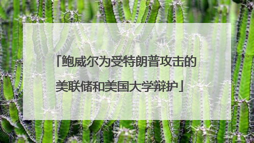 鲍威尔为受特朗普攻击的美联储和美国大学辩护