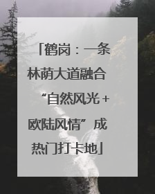 鹤岗：一条林荫大道融合“自然风光＋欧陆风情”成热门打卡地