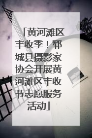 黄河滩区丰收季！郓城县摄影家协会开展黄河滩区丰收节志愿服务活动