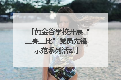 黄金谷学校开展“三亮三比”党员先锋示范系列活动