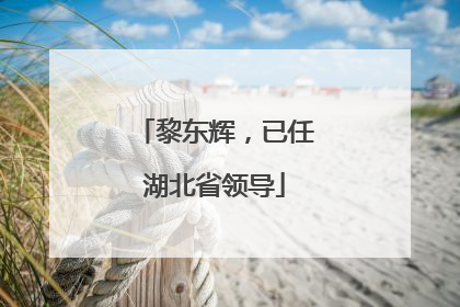 黎东辉，已任湖北省领导