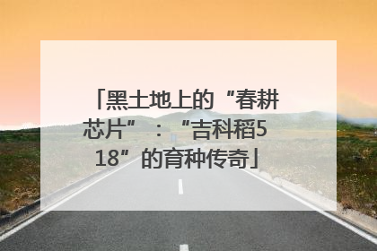 黑土地上的“春耕芯片”：“吉科稻518”的育种传奇