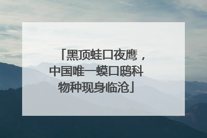 黑顶蛙口夜鹰，中国唯一蟆口鸱科物种现身临沧