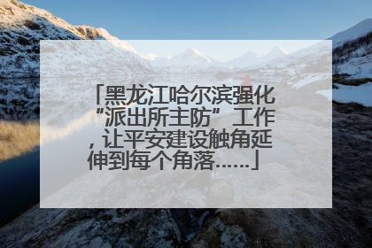 黑龙江哈尔滨强化“派出所主防”工作，让平安建设触角延伸到每个角落……