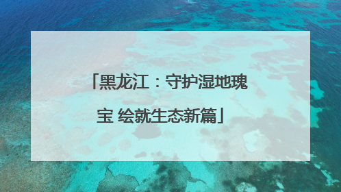 黑龙江：守护湿地瑰宝 绘就生态新篇