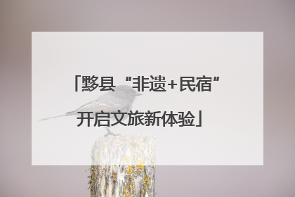 黟县“非遗+民宿” 开启文旅新体验