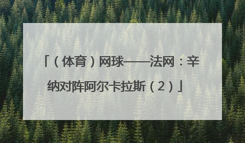 （体育）网球——法网：辛纳对阵阿尔卡拉斯（2）