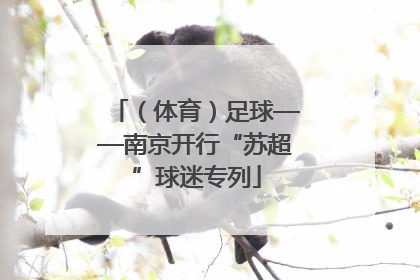 （体育）足球——南京开行“苏超”球迷专列