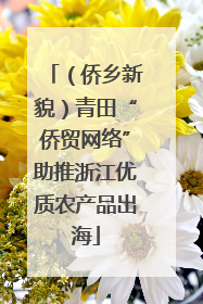 （侨乡新貌）青田“侨贸网络”助推浙江优质农产品出海