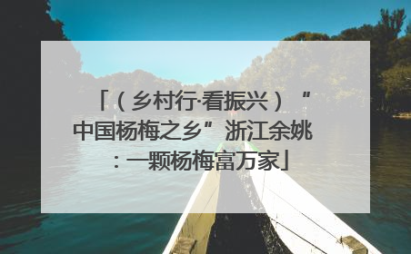 （乡村行·看振兴）“中国杨梅之乡”浙江余姚：一颗杨梅富万家