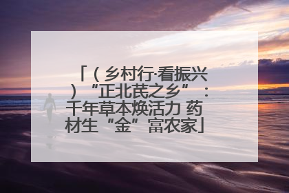 （乡村行·看振兴）“正北芪之乡”：千年草本焕活力 药材生“金”富农家