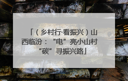 （乡村行·看振兴）山西临汾：“电”亮小山村 “碳”寻振兴路