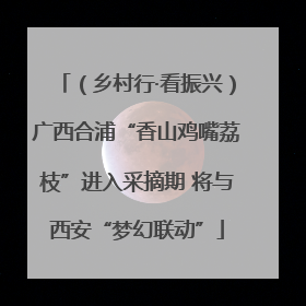 （乡村行·看振兴）广西合浦“香山鸡嘴荔枝”进入采摘期 将与西安“梦幻联动”