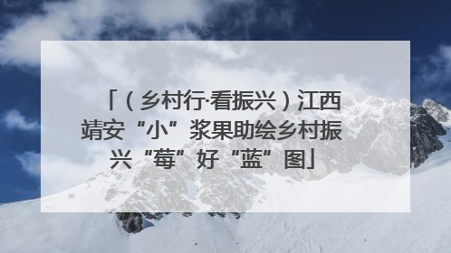 （乡村行·看振兴）江西靖安“小”浆果助绘乡村振兴“莓”好“蓝”图