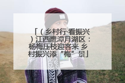 （乡村行·看振兴）江西鹰潭月湖区：杨梅压枝迎客来 乡村振兴添“梅”景