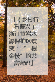（乡村行·看振兴）浙江黄岩水源保护区蝶变：“一根金枝”的共富密码