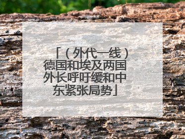 （外代一线）德国和埃及两国外长呼吁缓和中东紧张局势