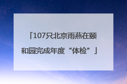 107只北京雨燕在颐和园完成年度“体检”