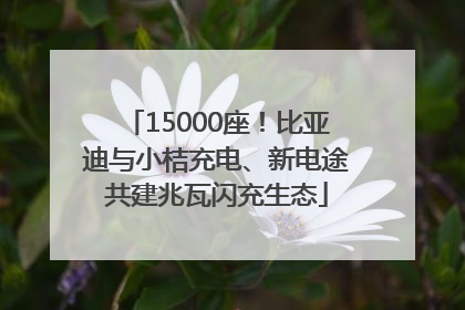 15000座！比亚迪与小桔充电、新电途共建兆瓦闪充生态