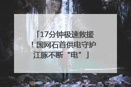 17分钟极速救援！国网石首供电守护江豚不断“电”