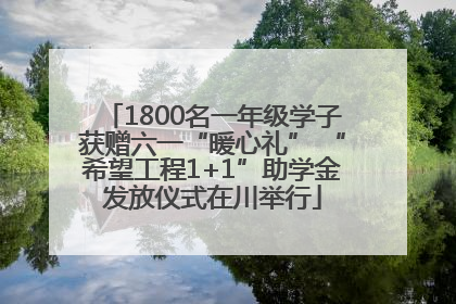 1800名一年级学子获赠六一“暖心礼” “希望工程1+1”助学金发放仪式在川举行