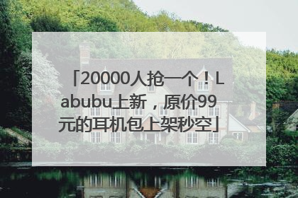 20000人抢一个！Labubu上新，原价99元的耳机包上架秒空