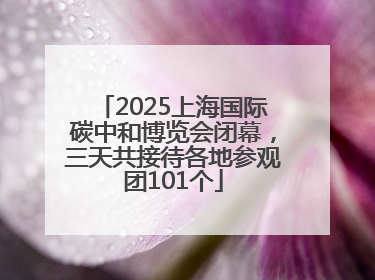 2025上海国际碳中和博览会闭幕，三天共接待各地参观团101个