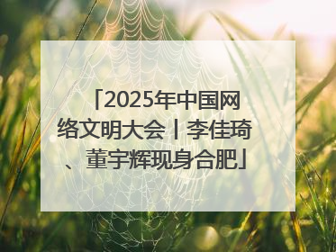 2025年中国网络文明大会丨李佳琦、董宇辉现身合肥