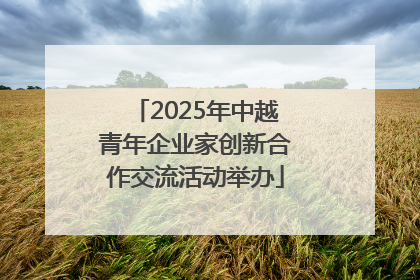 2025年中越青年企业家创新合作交流活动举办