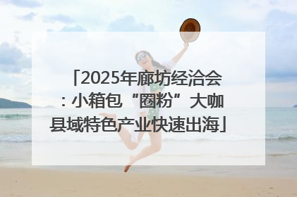 2025年廊坊经洽会：小箱包“圈粉”大咖 县域特色产业快速出海