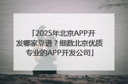 2025年北京APP开发哪家靠谱？细数北京优质专业的APP开发公司