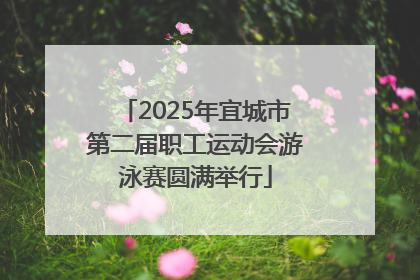 2025年宜城市第二届职工运动会游泳赛圆满举行