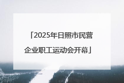2025年日照市民营企业职工运动会开幕