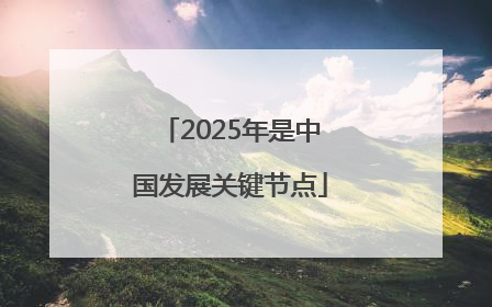 2025年是中国发展关键节点
