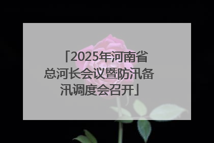 2025年河南省总河长会议暨防汛备汛调度会召开