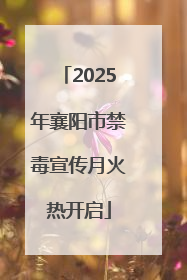 2025年襄阳市禁毒宣传月火热开启