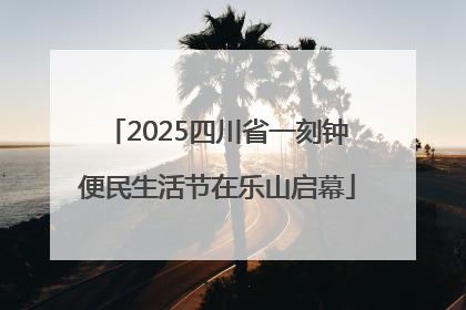 2025四川省一刻钟便民生活节在乐山启幕