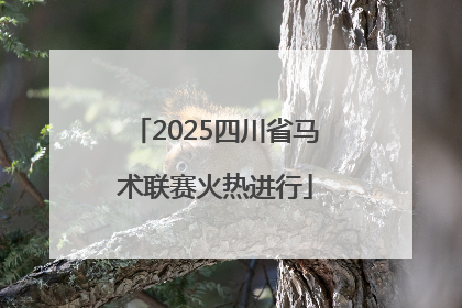 2025四川省马术联赛火热进行