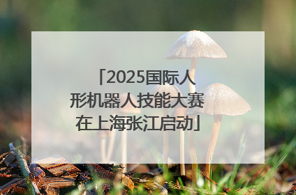 2025国际人形机器人技能大赛在上海张江启动