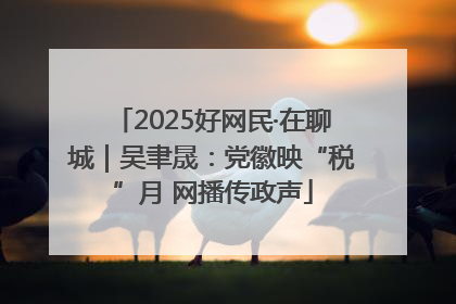 2025好网民·在聊城｜吴聿晟：党徽映“税”月 网播传政声