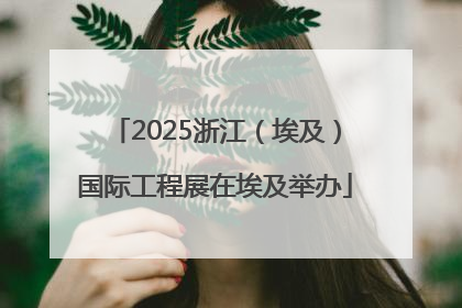 2025浙江（埃及）国际工程展在埃及举办