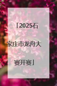 2025石家庄市龙舟大赛开赛