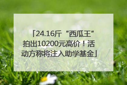 24.16斤“西瓜王”拍出10200元高价！活动方称将注入助学基金