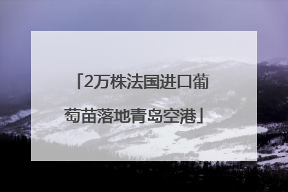 2万株法国进口葡萄苗落地青岛空港